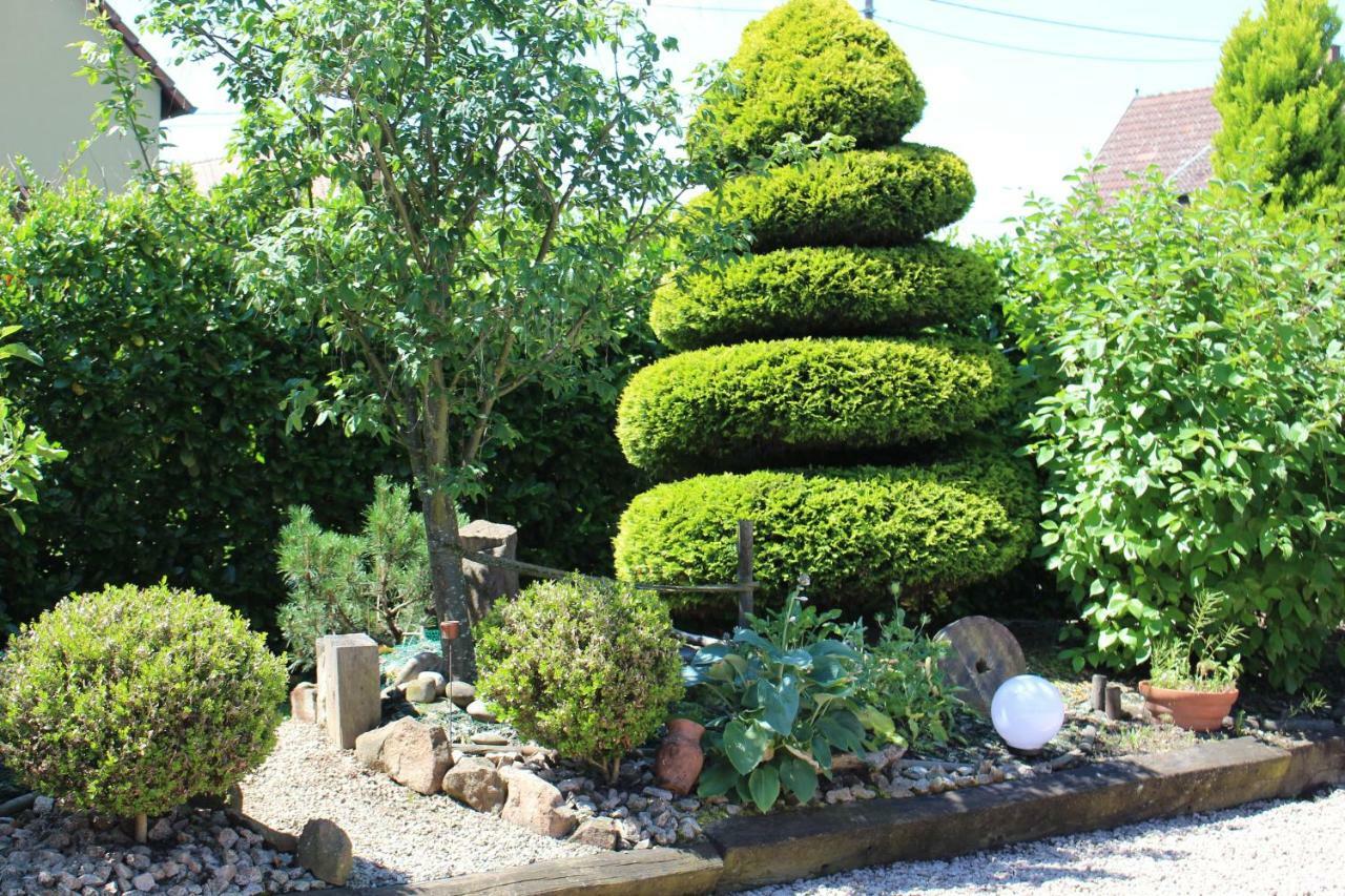 Gite Au Centre De L'Alsace Scherwiller Esterno foto