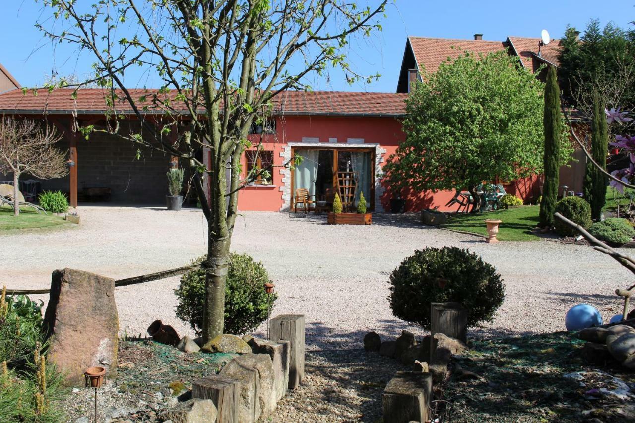 Gite Au Centre De L'Alsace Scherwiller Esterno foto