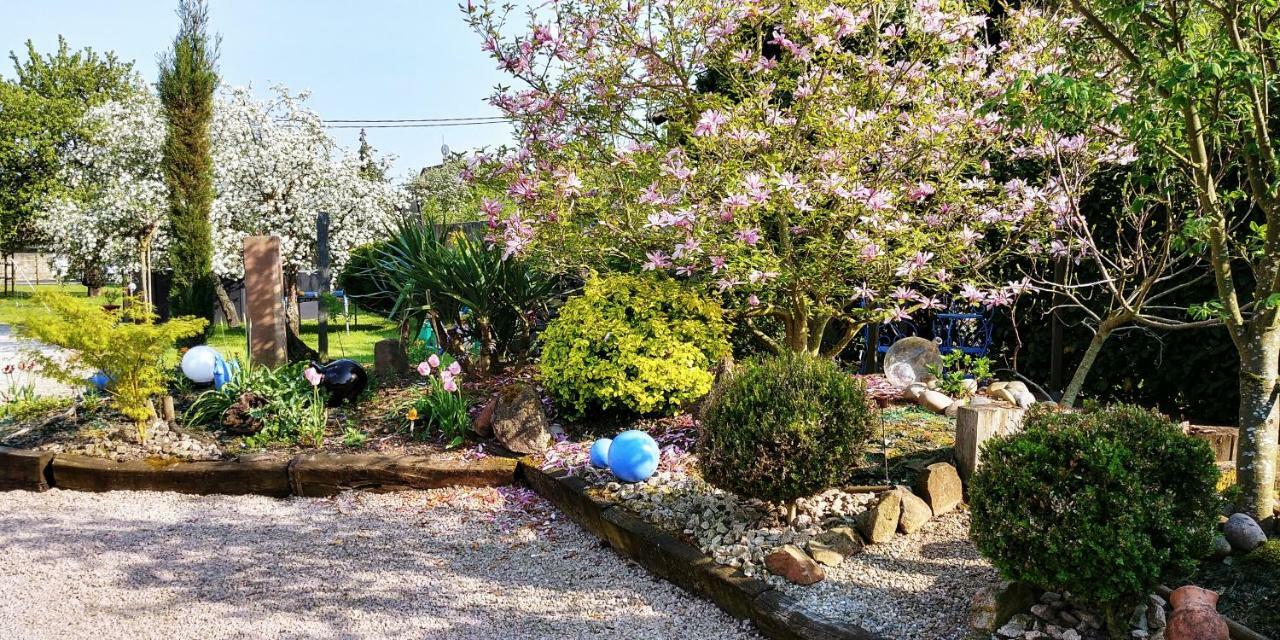 Gite Au Centre De L'Alsace Scherwiller Esterno foto