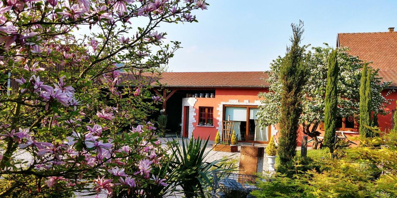 Gite Au Centre De L'Alsace Scherwiller Esterno foto